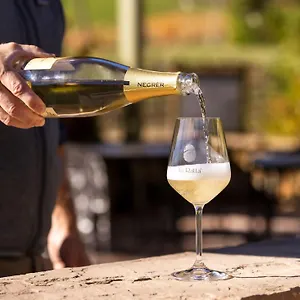 Vakantieboerderij La Ratta Vernasca